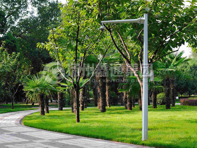 DJG-022，電子警察桿，八棱懸臂球機(jī)桿