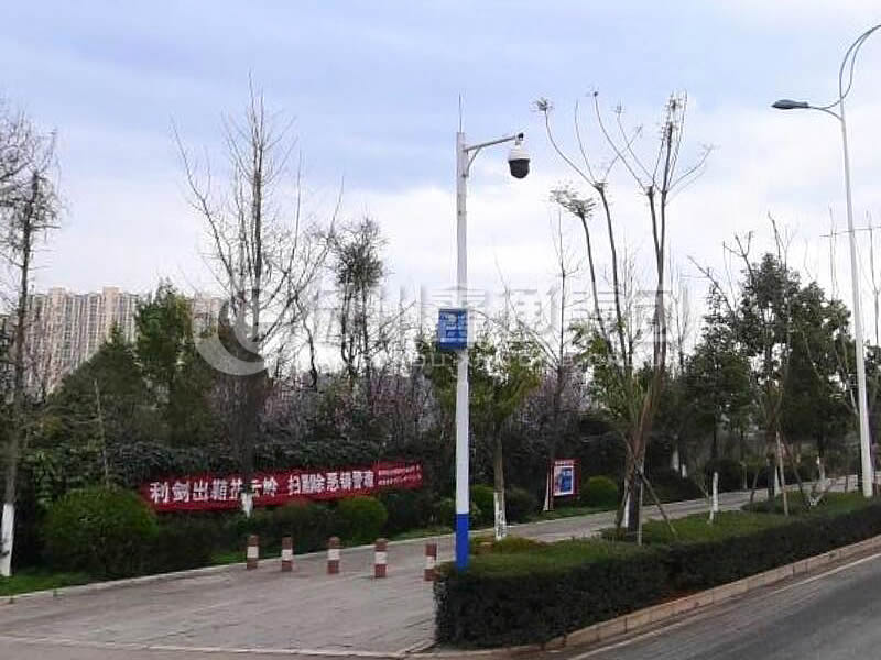 DJG-025，電子警察桿，治安監(jiān)控桿